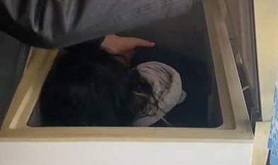 4 suçtan aranan kadın derin dondurucudan çıktı