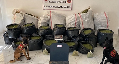 462 kilo uyuşturucu madde ele geçirildi