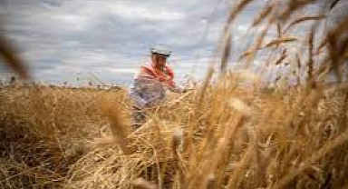 927 milyon liralık tarımsal destekleme ödemeleri çiftçilerin hesaplarına aktarılacak