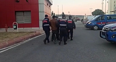 Antep fıstığı hırsızlarına darbe! 13 tutuklama