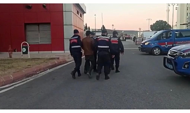 Antep fıstığı hırsızlarına darbe! 13 tutuklama