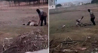 Birecik'te alacak verecek kavgası! 1 ağır yaralı