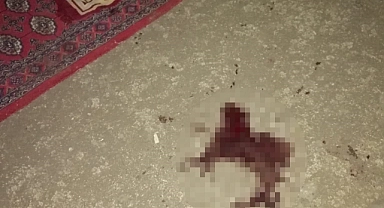 Damadını namaz kılarken silahla vurdu