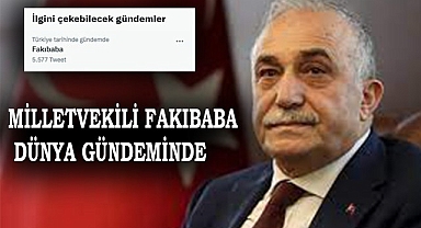 Fakıbaba dünya gündeminde