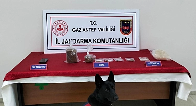Jandarmadan dev operasyon: 57 gözaltı