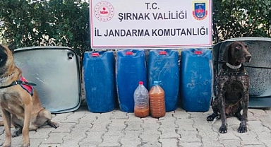 Kaçakçılık operasyonu: 65 gözaltı