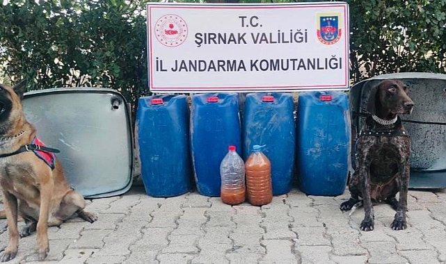 Kaçakçılık operasyonu: 65 gözaltı