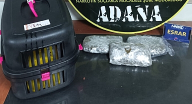 Kedi kafesinde uyuşturucu sevkiyatı