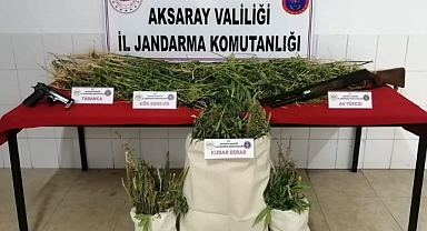 Mısır tarlasında yetiştirdikleri kenevirle esrar ürettiler