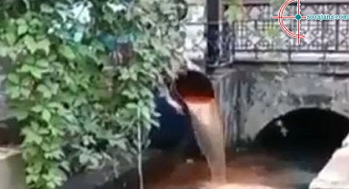 Şanlıurfa'da skandal görüntüler!