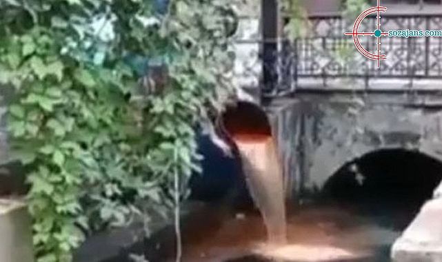 Şanlıurfa'da skandal görüntüler!