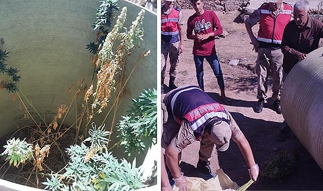 Şanlıurfa'da uyuşturucu operasyonu! 2 gözaltı