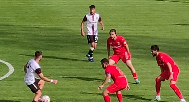 TFF 2. Lig: Vanspor FK: 1 - Diyarbekir Spor A.Ş.: 1