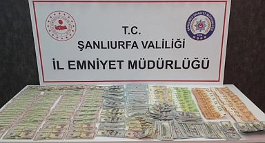 Urfa'da yüklü miktarda döviz ele geçirildi