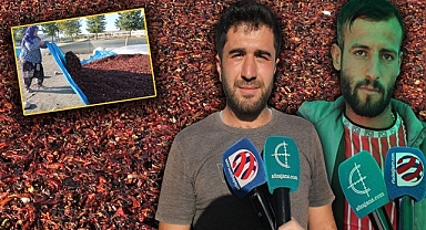 Urfa İsotu bu sene dilleri değil cepleri yakacak!