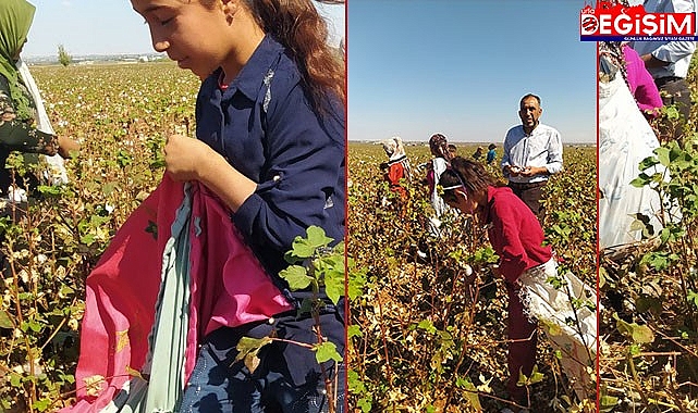 Urfa'nın eğitim seviyesinin neden düşük olduğunun fotoğrafı