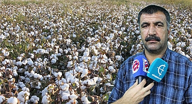 Urfalı çiftçi geçen yılları mumla arıyor!