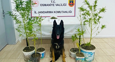 Uyuşturucu operasyonunda 1 kişi gözaltına alındı