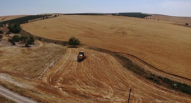 Vatandaşın meraya ektiği arpayı, kaymakamlık hasat etti