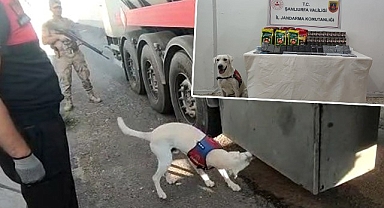 Viranşehir'de kaçak telefon ve sigara ele geçirildi!