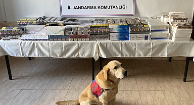 11 bin 140 paket kaçak sigara ele geçirildi