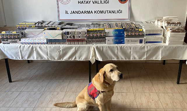 11 bin 140 paket kaçak sigara ele geçirildi