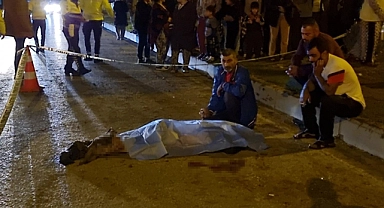 Aracın çarptığı yaya hayatını kaybetti