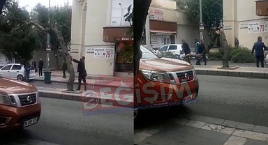 Asırlık ağaca tır çarptı!