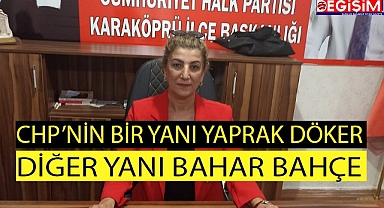 CHP'de taşlar bir türlü yerine oturmuyor, şok istifa!