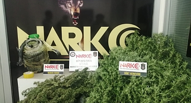 Evinde Hint keneviri yetiştiren 2 kişi tutuklandı