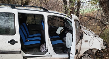 Hafif ticari araç şarampole yuvarlandı