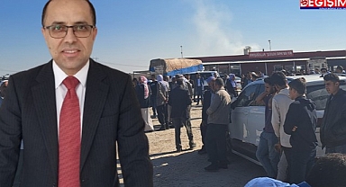 Kırboğa, şimdiden vekil gibi!