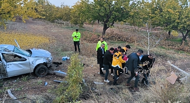 Kontrolden çıkan araç kayısı bahçesine uçtu: 1 yaralı