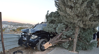 Kontrolden çıkan kamyonet ağaca çarparak durabildi