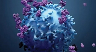 Mevsim geçişleri hasta etmesin