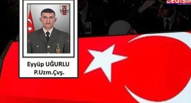 Şehit ateşi Urfa'ya düştü!