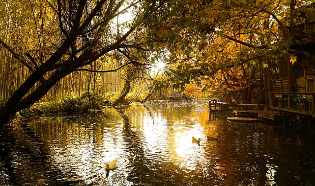 Sonbahar görsel şöleni fotoğraflarla anlatıldı