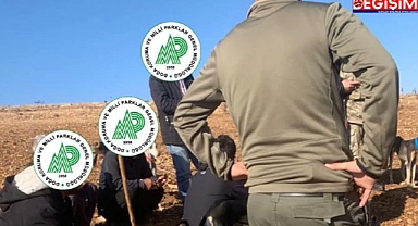 Urfa'da kaçak avlananlar yakayı ele verdi!