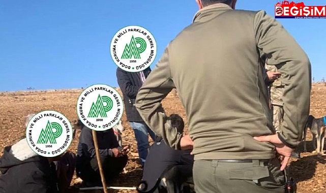 Urfa'da kaçak avlananlar yakayı ele verdi!