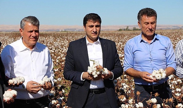 Urfalı pamuk üreticilerin imdadına CHP vekilleri yetişti