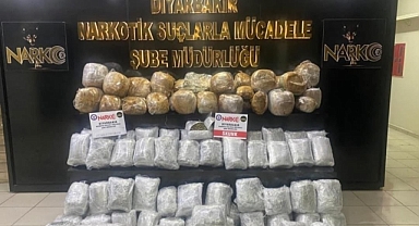 Uyuşturucu tacirlerine darbe: 157 kilo skunk ele geçirildi