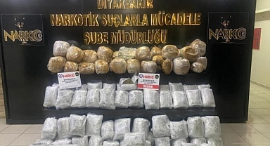 Uyuşturucu tacirlerine darbe: 157 kilo skunk ele geçirildi