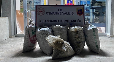 300 kilo yerfıstığı çalan 2 şüpheli yakalandı