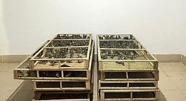 Bin adet saka kuşu bulunduran şahsa 1 milyon 200 bin lira ceza