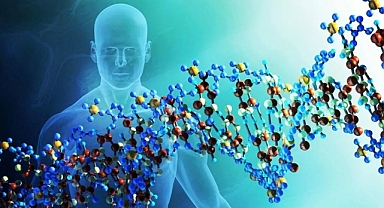 Dikkat çeken araştırma: Kaç yıl yaşayacağımızı öğrenmek mümkün