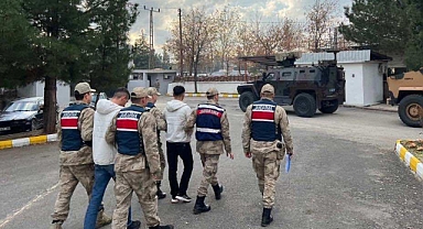 Diyarbakır’da büyükbaş hayvan hırsızları tutuklandı