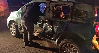 Hayvan yüklü kamyonet ile hafif ticari araç çarpıştı: 5 yaralı