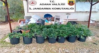 Kiraladıkları villada iklimlendirme sistemiyle kenevir yetiştirmişler