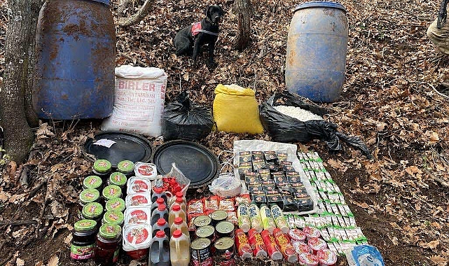 Lice’de 2022 Eren Operasyonları bilançosu paylaşıldı