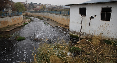 Nizip'teki balık ölümleri vatandaşları tedirgin ediyor
